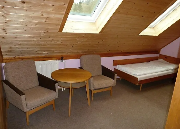 Pod Sněžníkem Casa de hóspedes